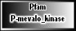 P-mevalo_kinase