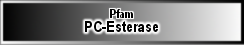 PC-Esterase