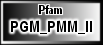 PGM_PMM_II