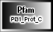 PI31_Prot_C
