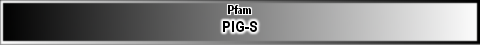 PIG-S