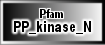PP_kinase_N