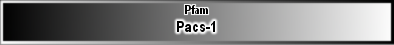 Pacs-1