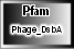 Phage_DsbA