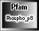 Phospho_p8