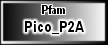 Pico_P2A