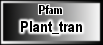Plant_tran