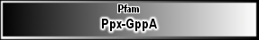 Ppx-GppA