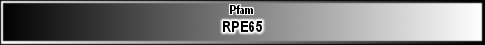 RPE65
