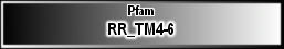 RR_TM4-6