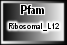 Ribosomal_L12