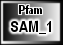 SAM_1
