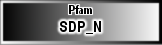SDP_N
