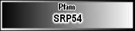 SRP54