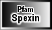 Spexin