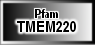 TMEM220