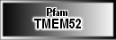 TMEM52