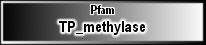 TP_methylase