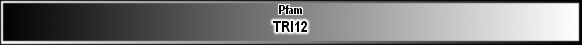 TRI12