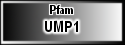 UMP1