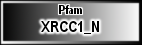 XRCC1_N