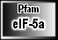 eIF-5a