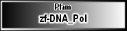 zf-DNA_Pol