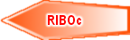 RIBOc