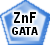 ZnF_GATA
