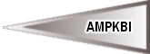 AMPKBI