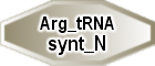 Arg_tRNA_synt_N
