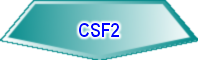 CSF2
