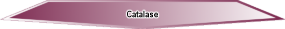 Catalase