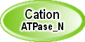 Cation_ATPase_N