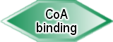CoA_binding