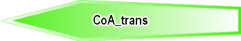 CoA_trans