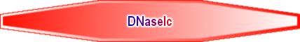 DNaseIc