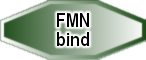FMN_bind