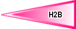 H2B