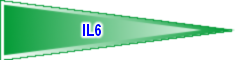 IL6
