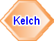 Kelch