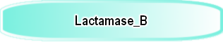 Lactamase_B