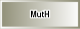 MutH