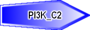 PI3K_C2
