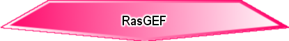 RasGEF