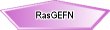 RasGEFN