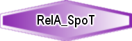 RelA_SpoT