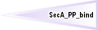 SecA_PP_bind