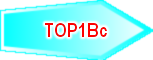 TOP1Bc