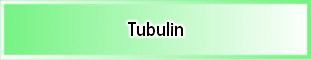 Tubulin